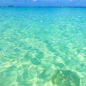 Meet your Posher, Petey